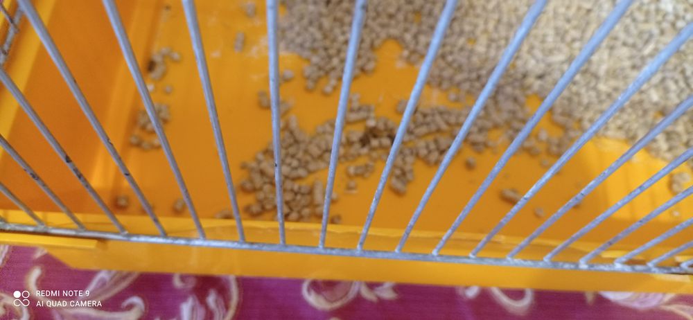 Продам клітку для папуг