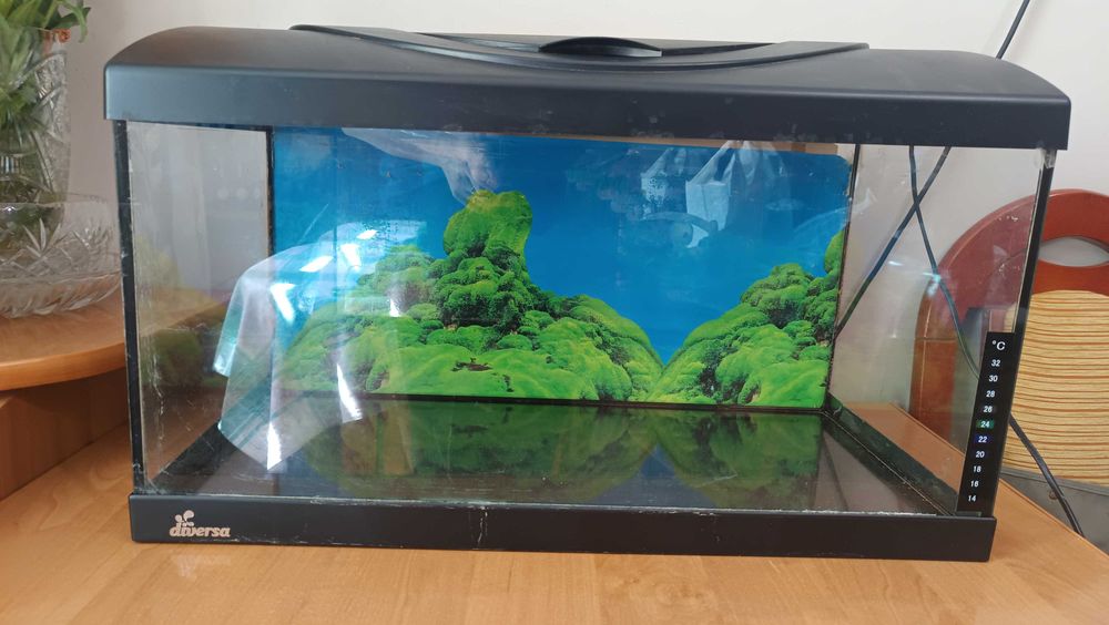 akwarium diversa