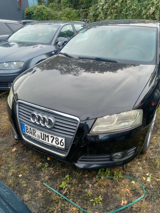 Audi A3 8P 3D krótka podsufitka podsufitówka sufit wnętrze tapicerka