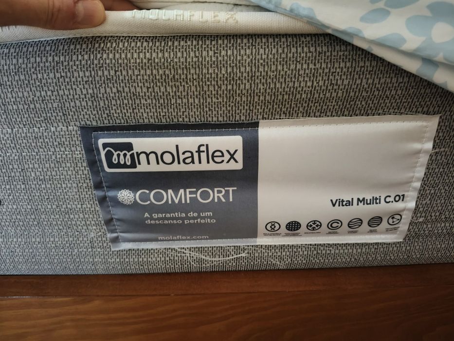 Cama casal 2mx1,6, colchão molaflex e mesas cabeceira