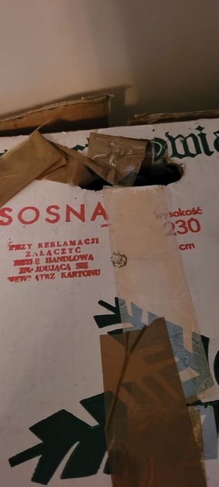 Choinka sosna 230 cm