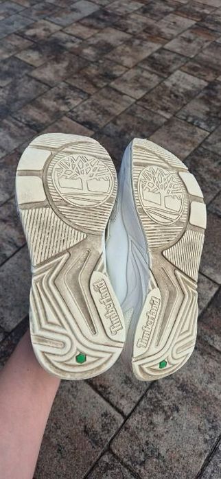 Жіночі кросівки Timberland