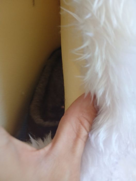 Fursuit komono mini piertial