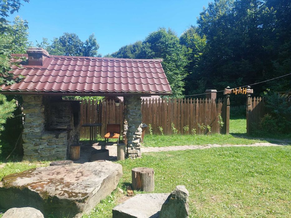 Легинс пен купальник киген қыздар жүзіп жүр