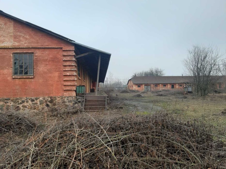 Продаються складські приміщення(площею 1366 кв. м.)0.86 га