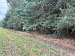 Działka rolna 1.46 ha, Białki gm. Tłuszcz - View 3