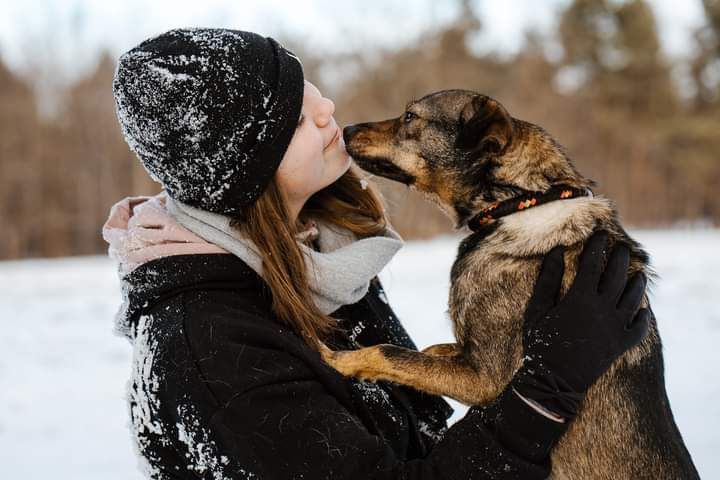Drobniutka, młoda Sunia poleca się do adopcji!