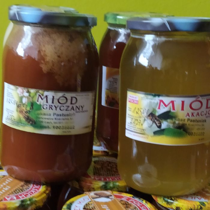 Miód lipowy z własnej pasieki