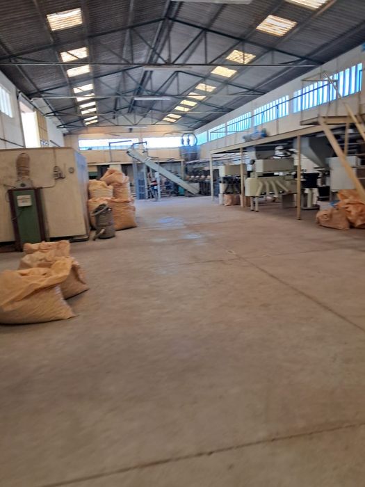 Armazém Industrial com Licença Ativa | Lourosa (Santa Maria da Feira)