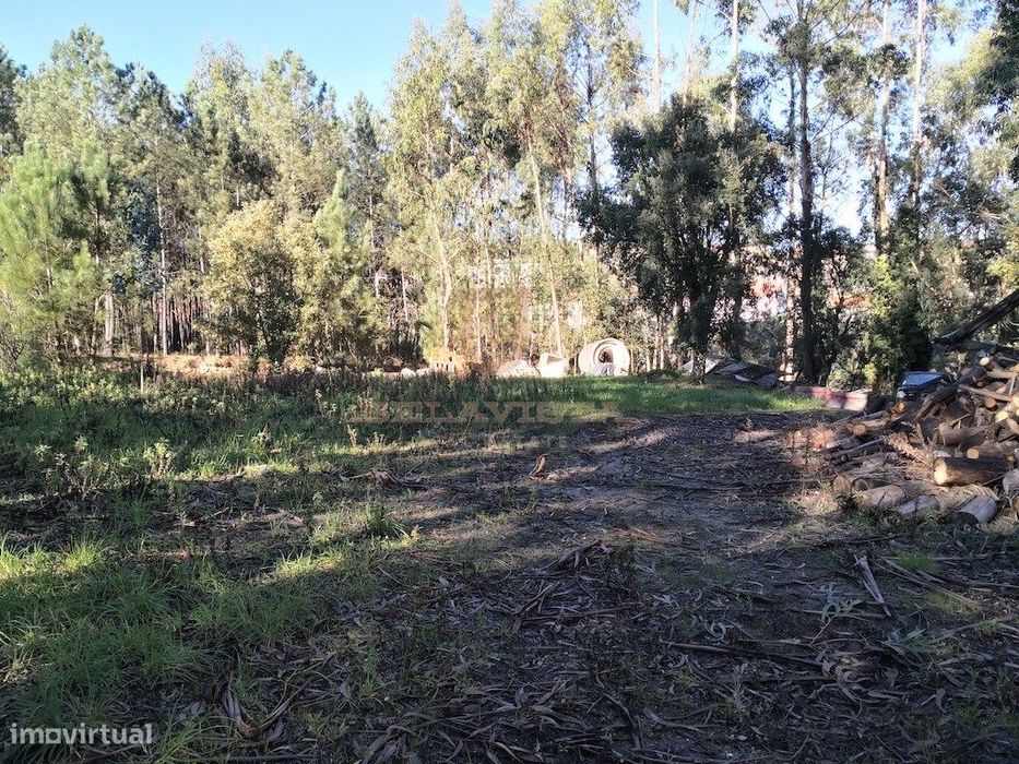 Oportunidade terreno para construir - Gondemaria — Gondemaria E Olival, Santarém