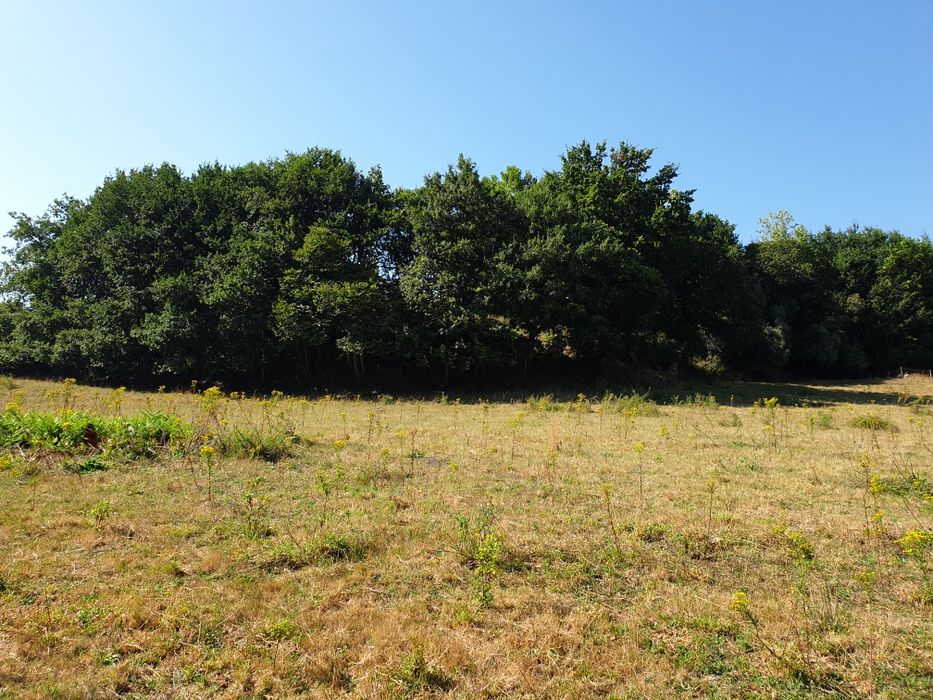 Campo com duas leiras encostado ao afluente do rio Ave