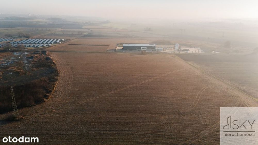 Teren produkcyjno-magazynowy | 2,6 ha | S8 - Widok 4