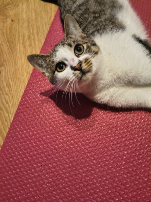 Pokotaj malucha lub oba na raz