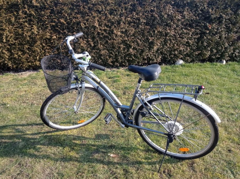 Rower damski i męski Trust