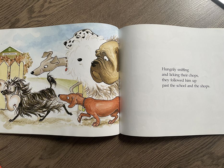 Книга детская на английском hairy maclarys bone красочная печать