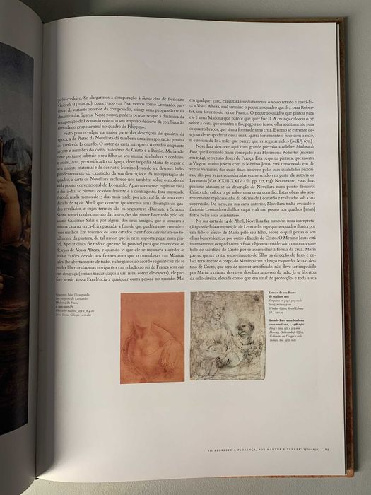 Leonardo da Vinci - Pintura Completa