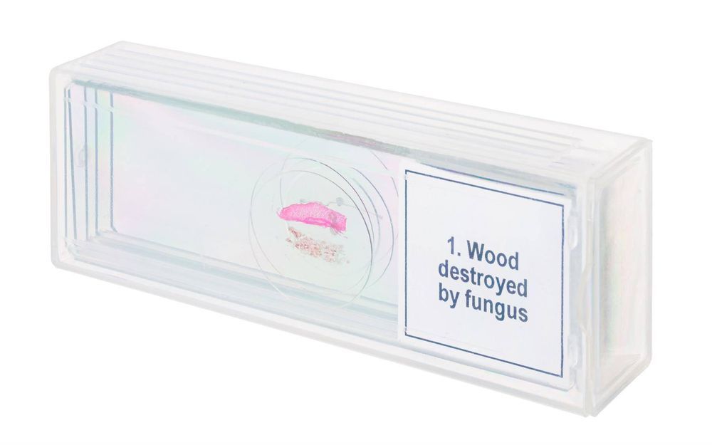 Discovery DPS 5 "Mutacje" / Zestaw preparatów mikroskopowych