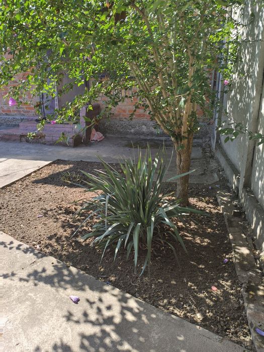 Будинок в центрі