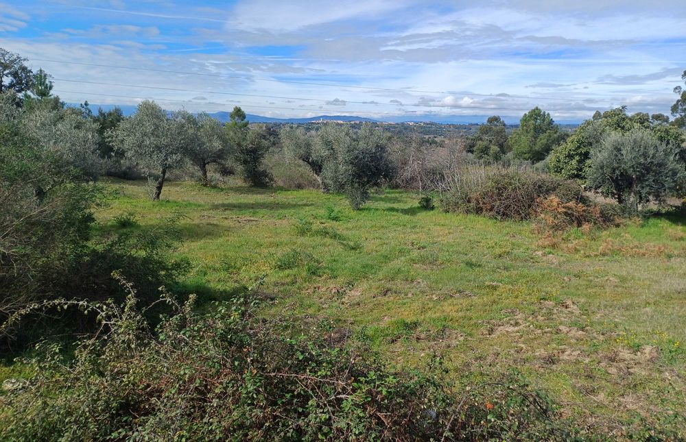 Terreno com palheiro e poço!