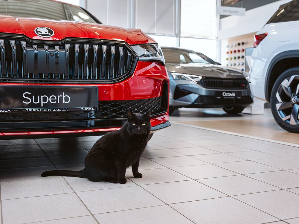 business-site-gallery-photo