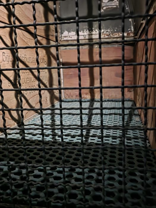 Vendo atrelado para cães pode levar 4 pequenos como 2ou3 grandes