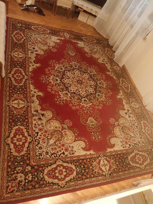 Dywan Agnella 3m x 4m