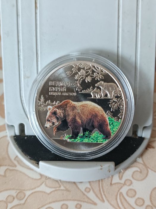 2000 грн.ведмідь рись