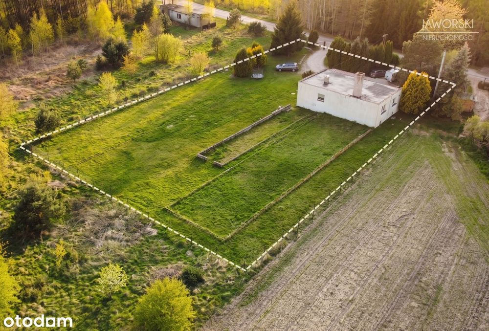 Dom przy samym lesie z ogromnym potencjałem – Działka 2000m²