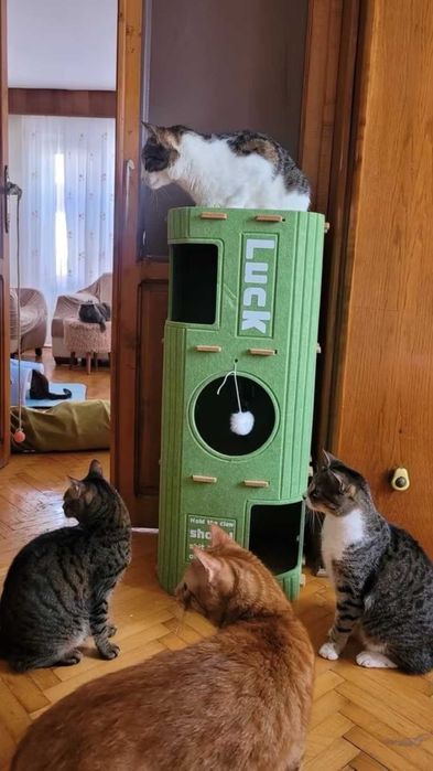 Лежанка для котика або маленькоі собачки когтеточка будинок для кота