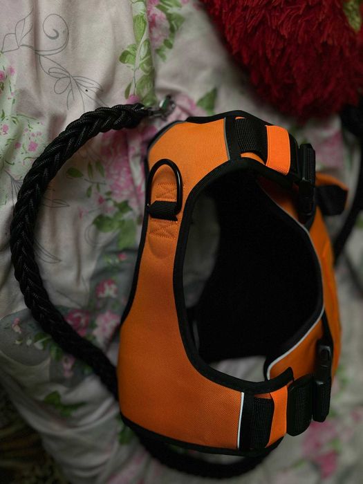 Жылет для псов крупной породы