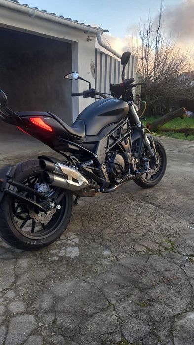 Benelli 502c mota