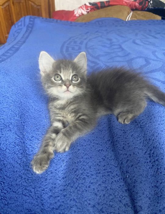 Такой красивый мальчик