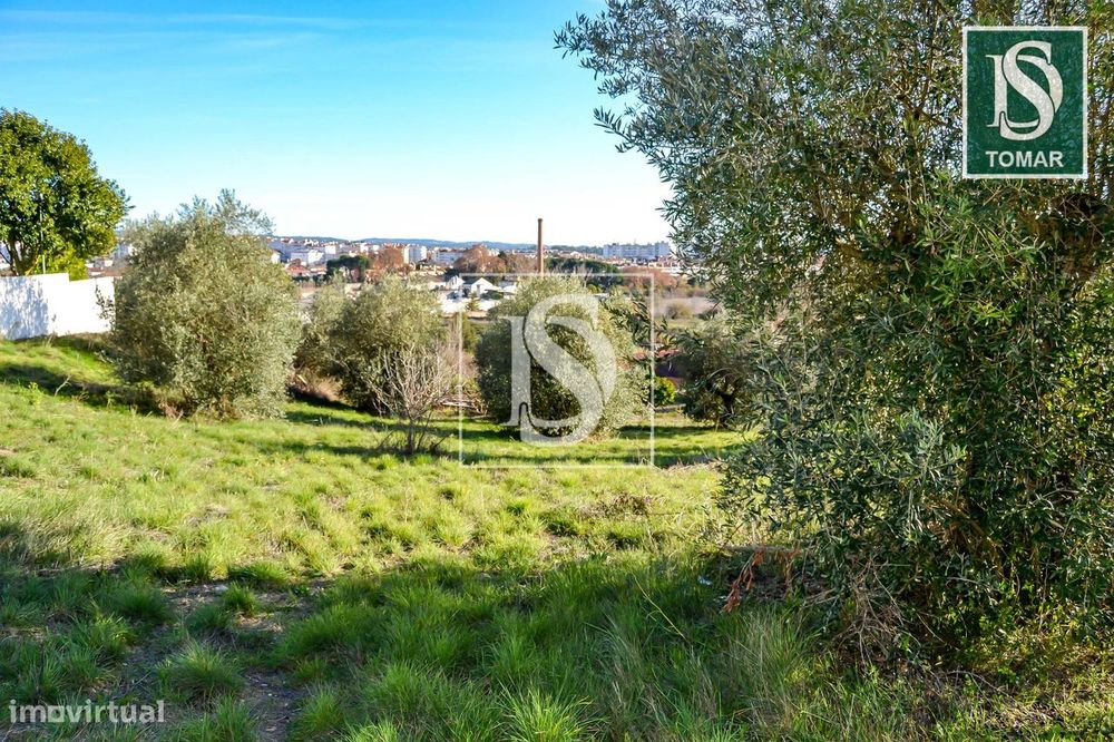 Terreno  Venda em Tomar (São João Baptista) e Santa Maria dos Olivais,