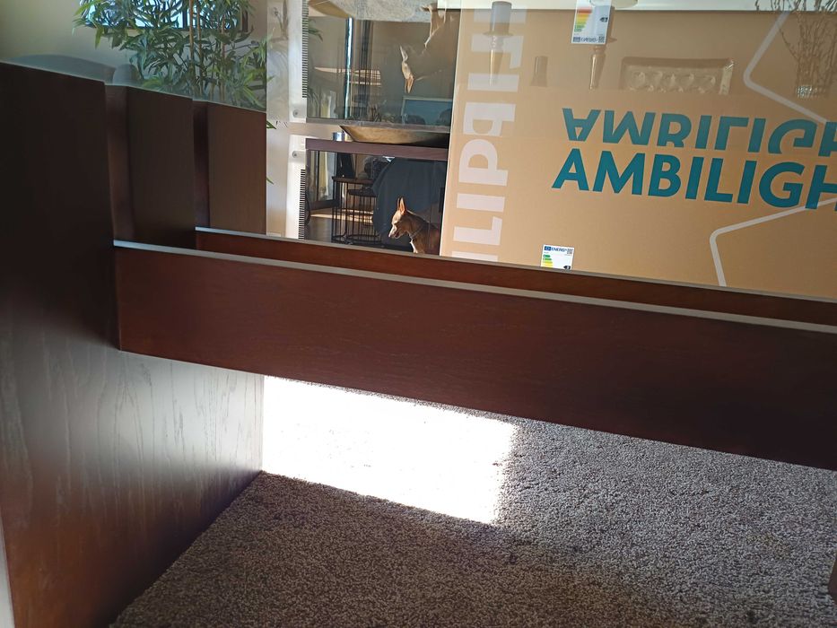 Mesa de sala de sala de jantar 100%madeira e vidro temperado