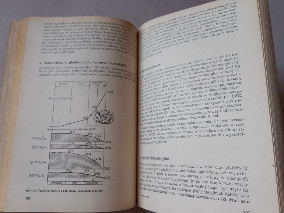 M. Lityński, H. Nieć "Warzywnictwo" 1982