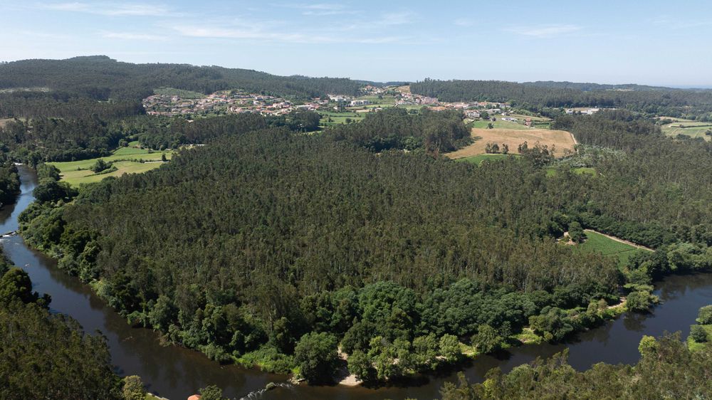 Videógrafo e Fotografo Profissional + Drone