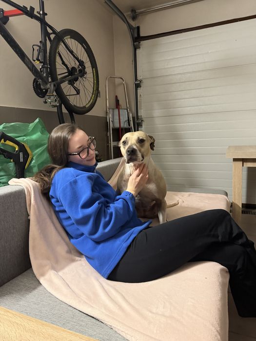 Renesme pilnie szuka domu