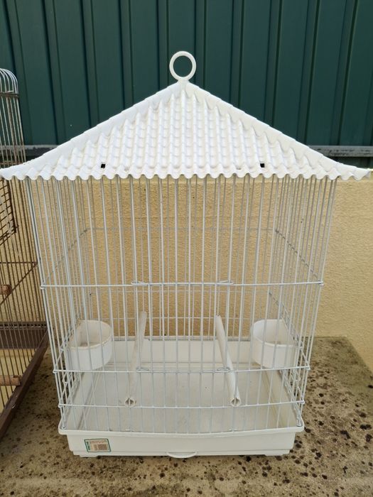 Gaiolas: branca nova, castanha usada.