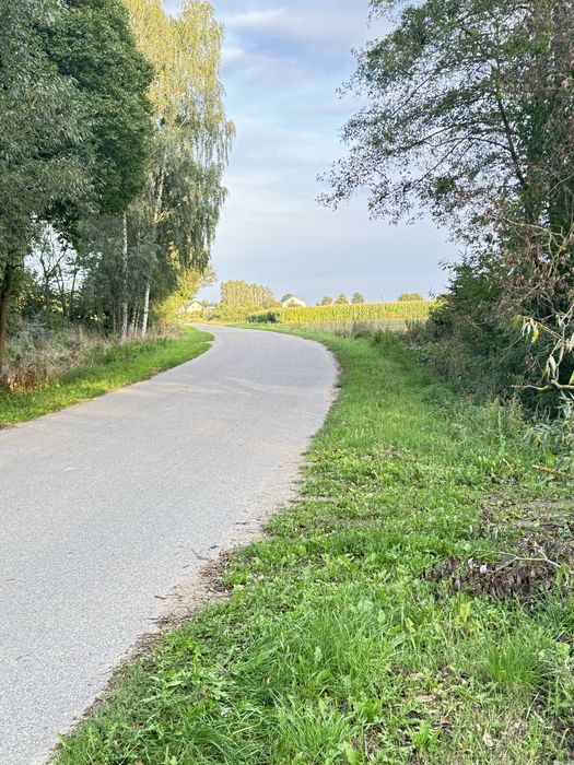 Nieruchomosci Działki - Widok 2