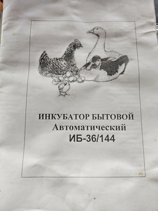 Інкубатори ИБ-36/144 , ІП-54мех.12В