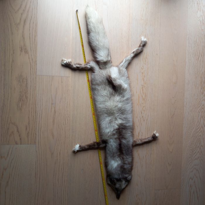 Srebrny Lis Srebrny - kołnierz z lisa srebrnego, cała skóra dwustronna