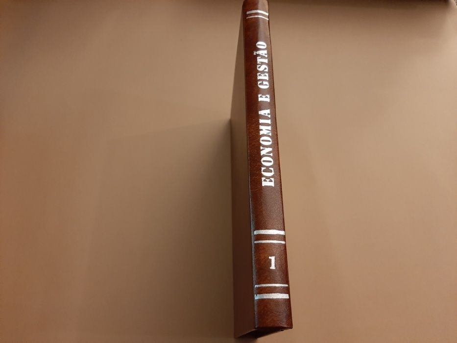 Economia e Gestão/ Sistema de Emprego em Portugal //Maria João Rodrigu