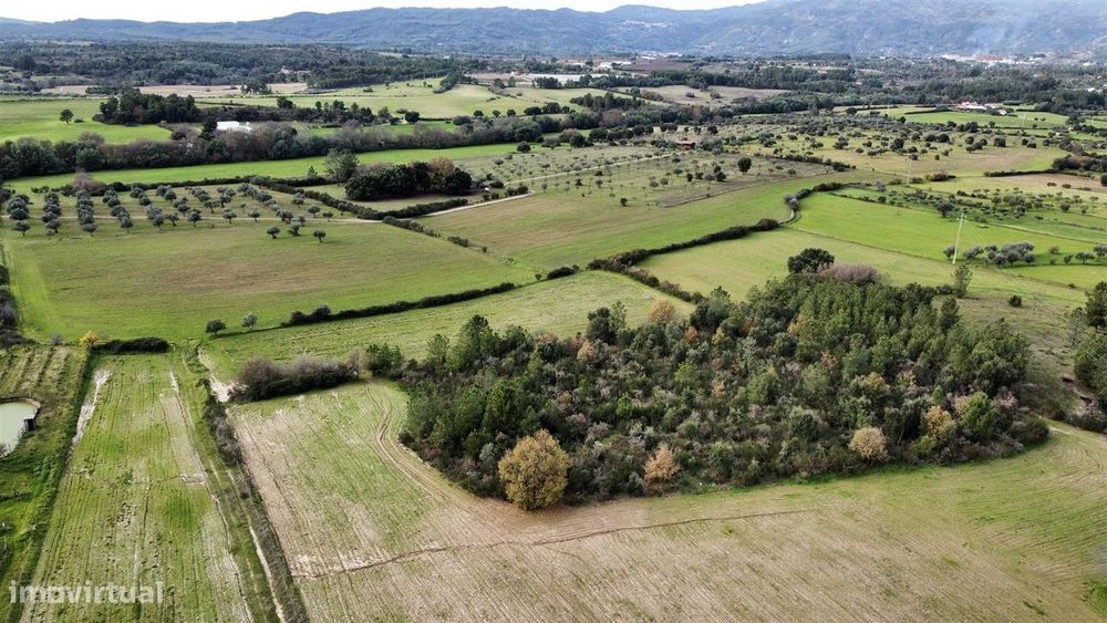 Quinta com 23 hectares junto a serra da gardunha, Soalheira Fundão — Soalheira, Castelo Branco