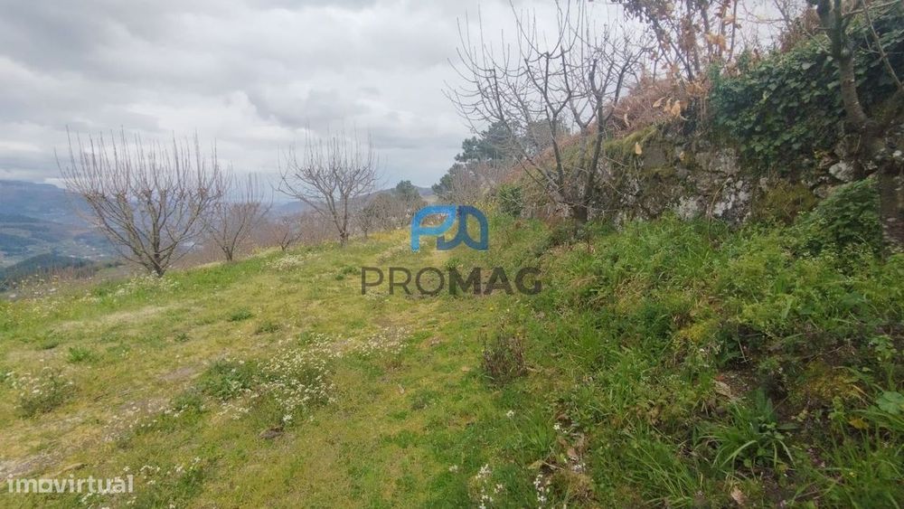 Terreno Urbanizável de 7959 m² com Armazém