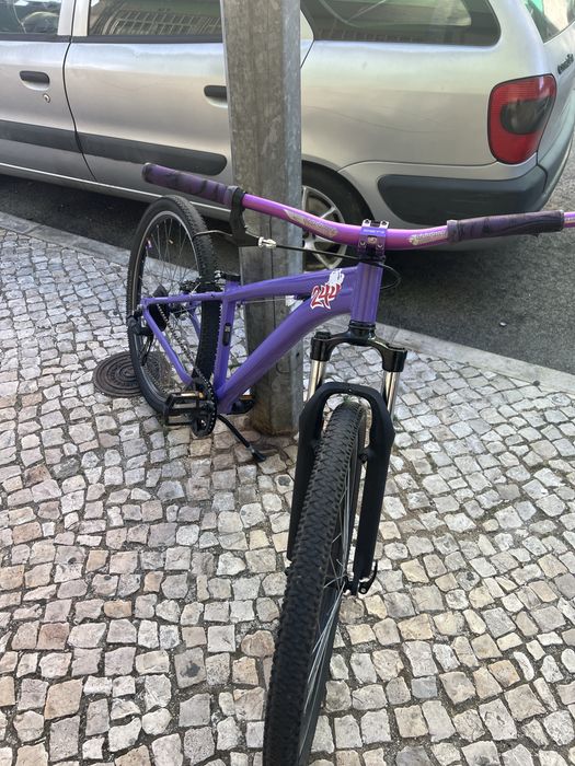 Rockerider roxa