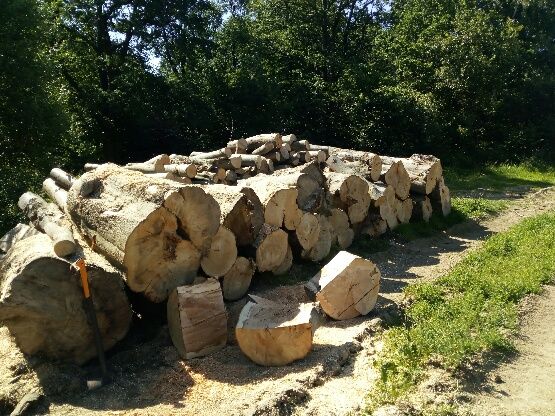 Drewno kominkowe opałowe