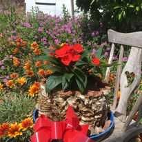 vasos de cortiça natural.