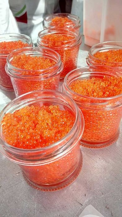 Услуги икорного мастера