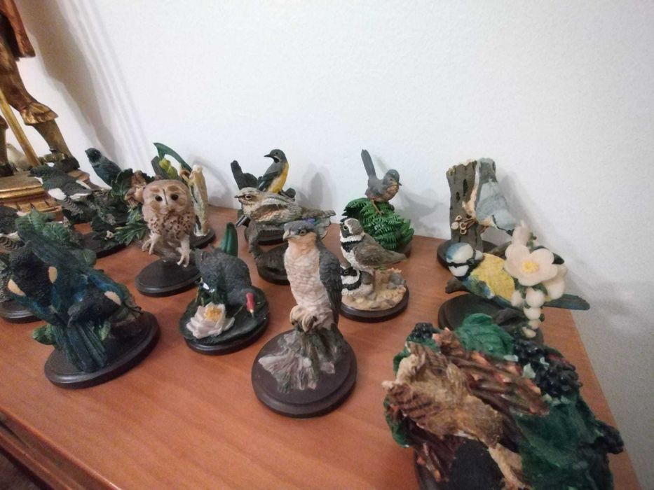 Pássaros -Bird Collection-Fabulosa coleção de 33 peças
