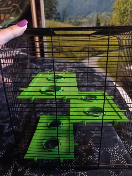 Клетка с нюансами